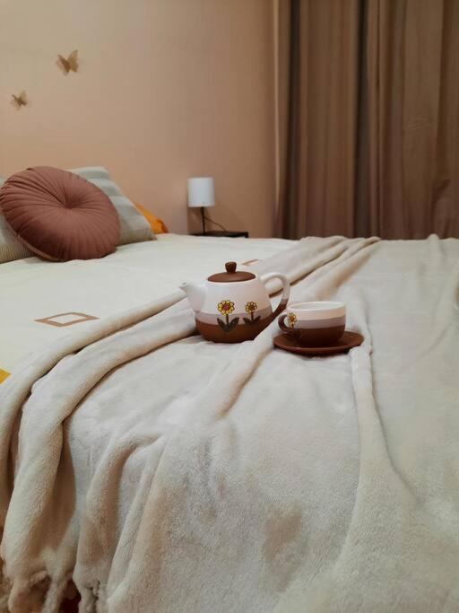 Apartament Bem Acogedora Y Muy Centrica Zamora Zewnętrze zdjęcie