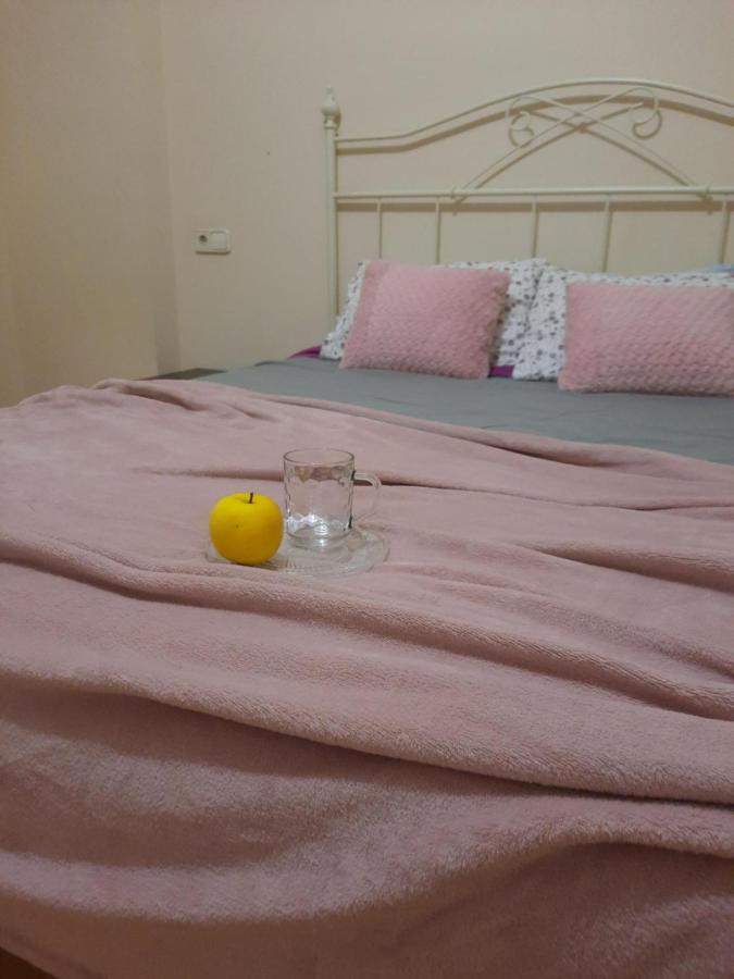 Apartament Bem Acogedora Y Muy Centrica Zamora Zewnętrze zdjęcie